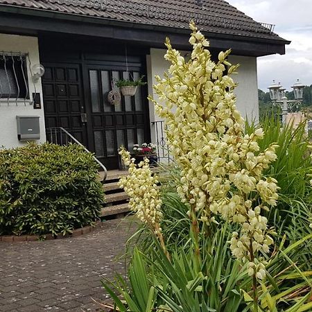 Ferienwohnung Wahlich Idar-Oberstein Eksteriør billede